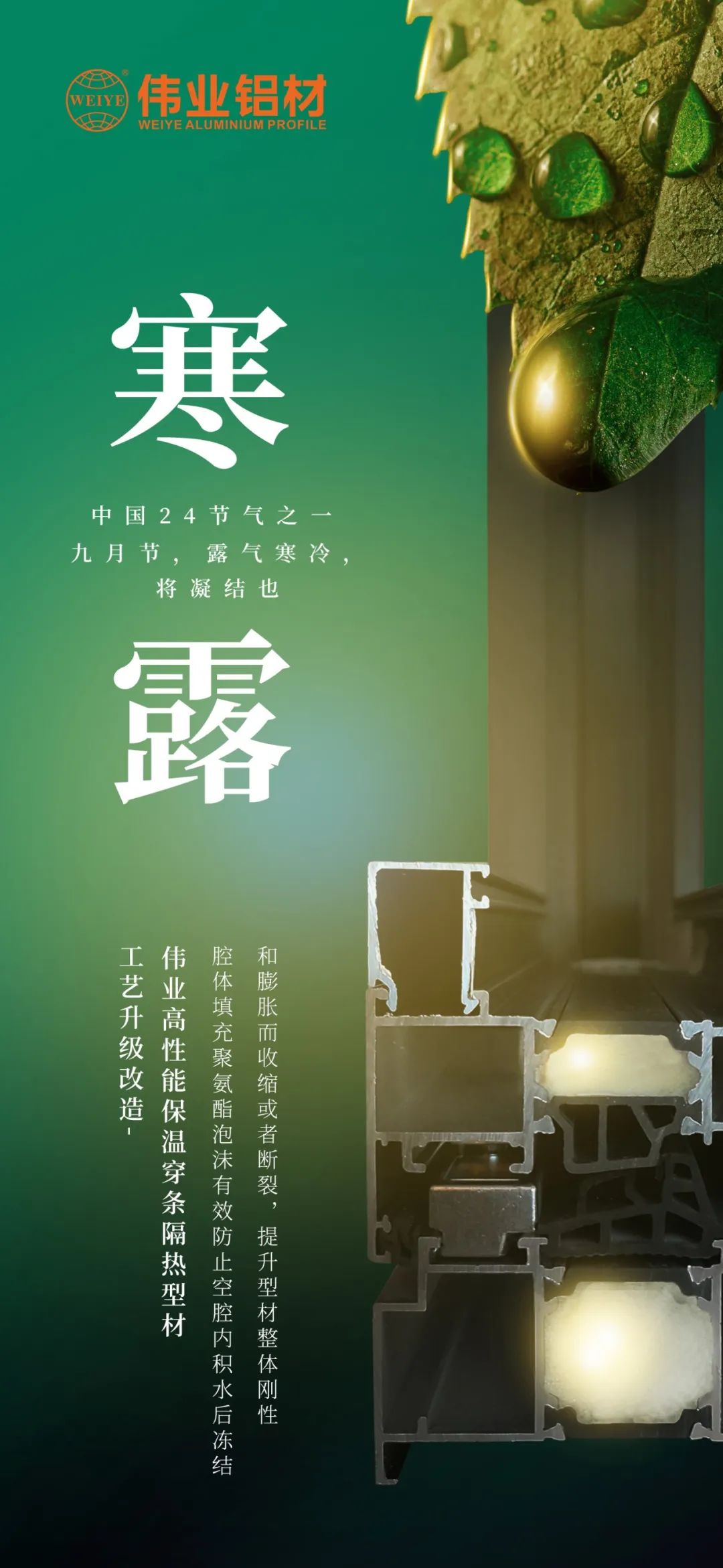 #寒露 九月节，，，，，露气严寒，，，，，将凝聚也 时光入深秋，，，，，岁月便深情